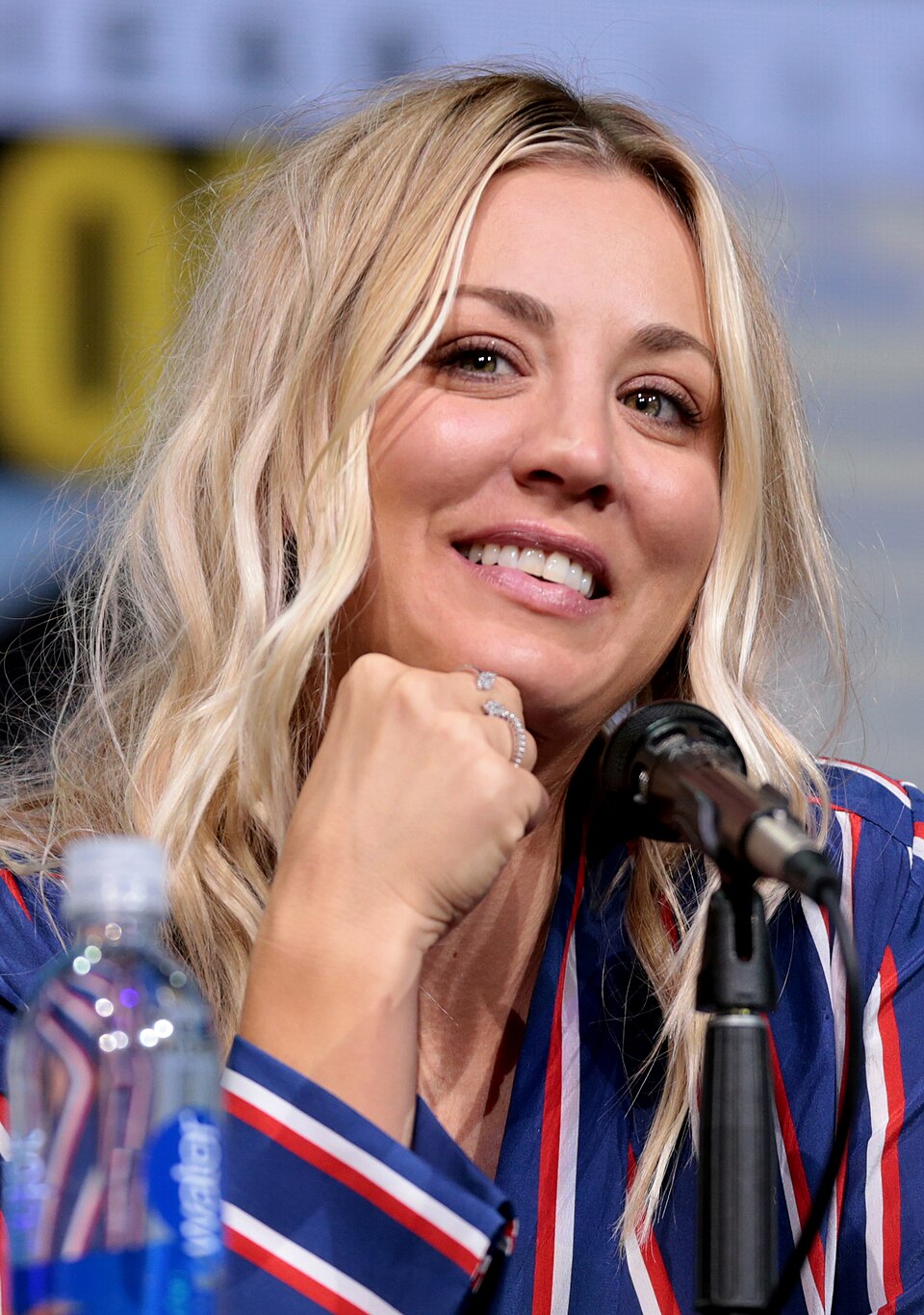 Beyond Penny: Kaley Cuoco's Diverse Roles and Career Highlights